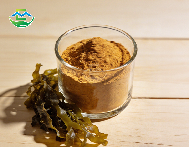 Irish Sea Moss Extract